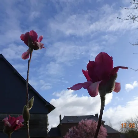 Сasa de vacaciones Le Petit Marais *