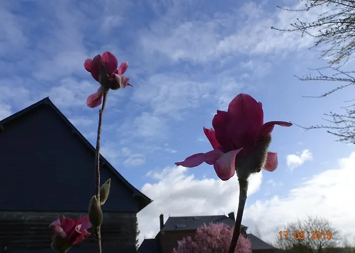 Сasa de vacaciones Le Petit Marais *